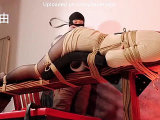 Bondage Chinese birch