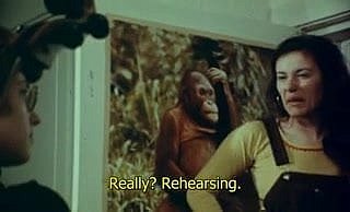 แอนนิต้า 1973