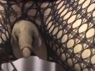巨大な勃起したクリトリス